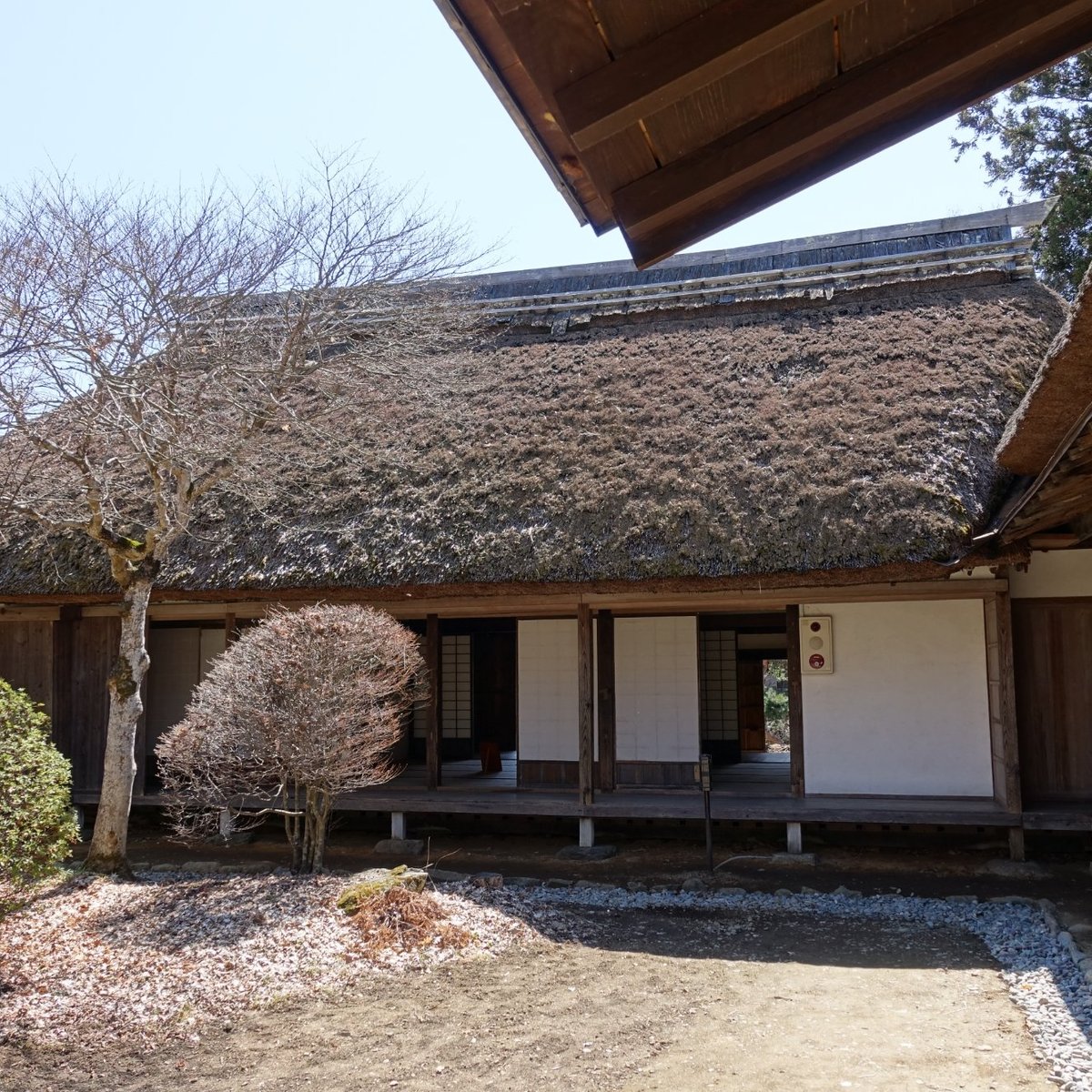 SHINTOKUKAN (Ina) - All You Need to Know BEFORE You Go