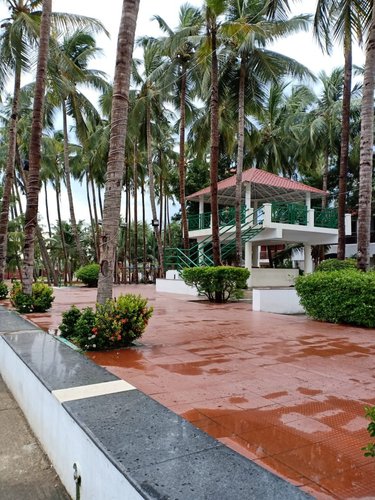 Green Coconut Resort image