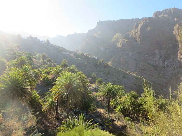 Imagen 6 de Barranco de Masca