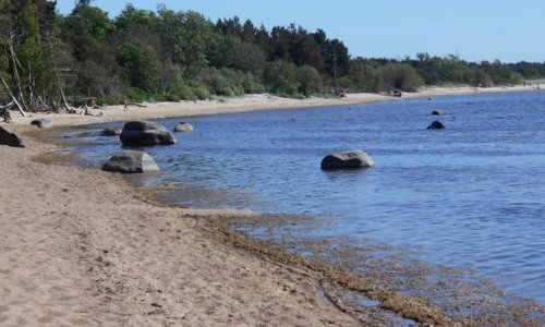 Stranden vid Laulasmaa.