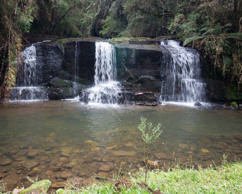 As melhores trilhas em Canhanduba, Santa Catarina (Brasil)