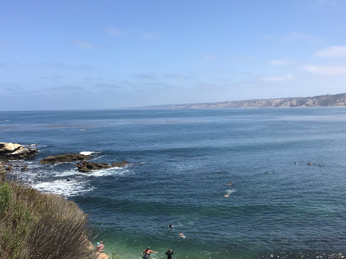 Mermaid Scuba Tours (La Jolla) - All You Need to Know BEFORE You Go