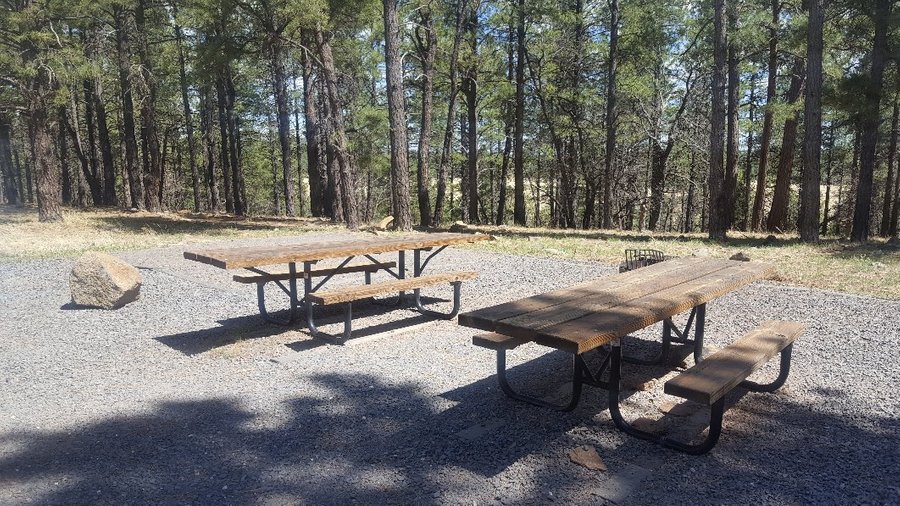 Dogtown Lake Campground - UPDATED 2021 Reviews & Photos (Williams, AZ ...