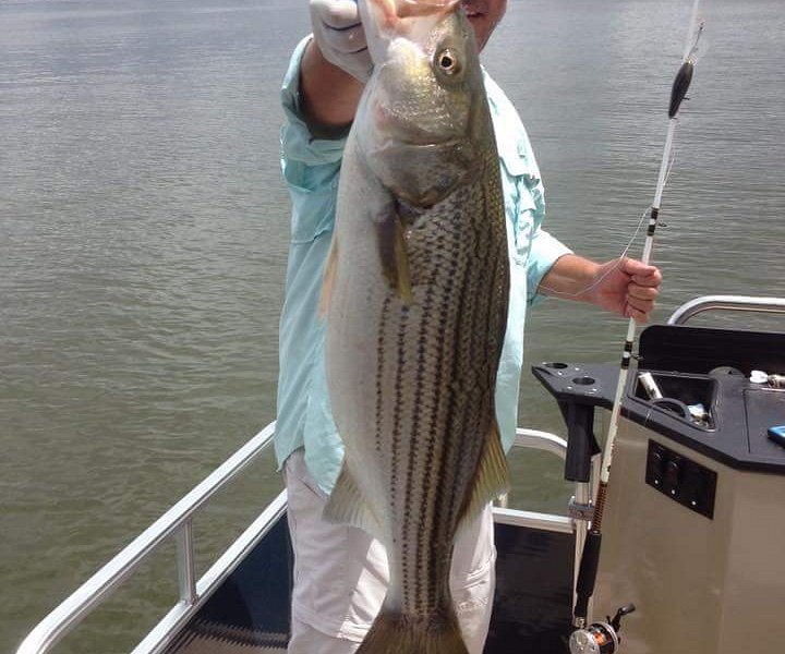 coosa queen riverboat dinner cruise