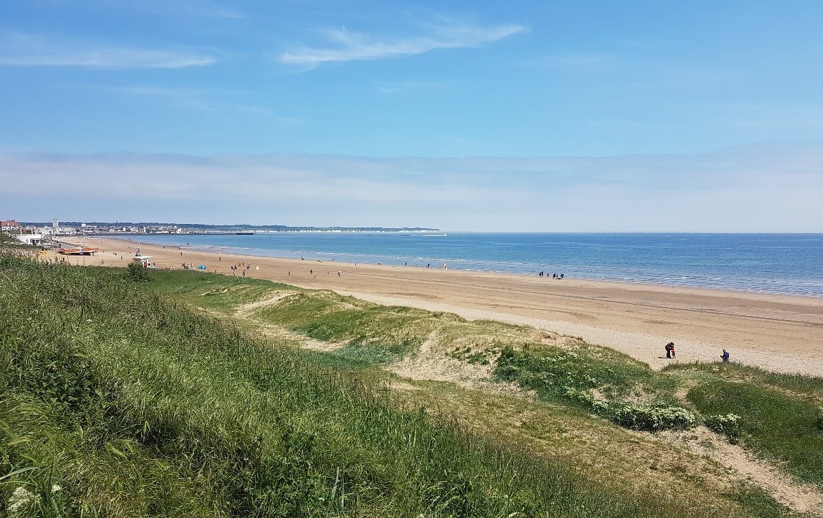 can you take dogs on the beach at bridlington