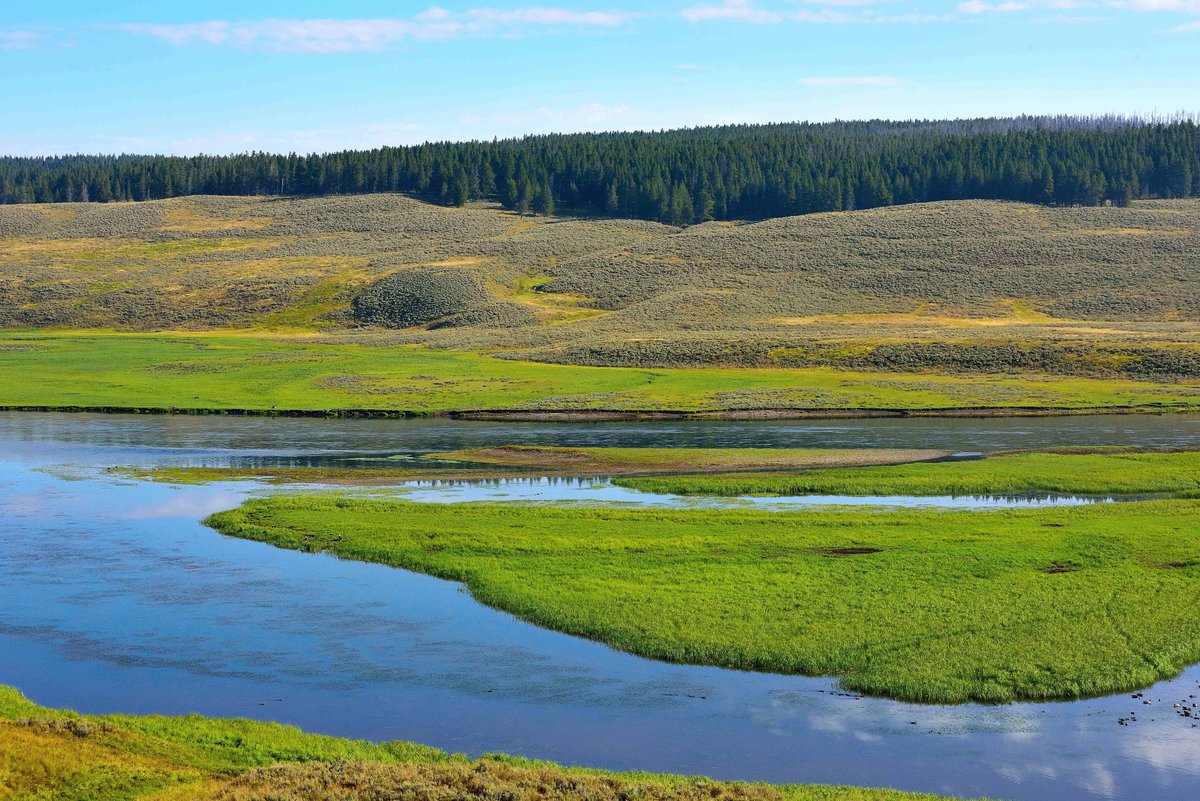 Hayden Valley (Yellowstone National Park) - All You Need to Know BEFORE 