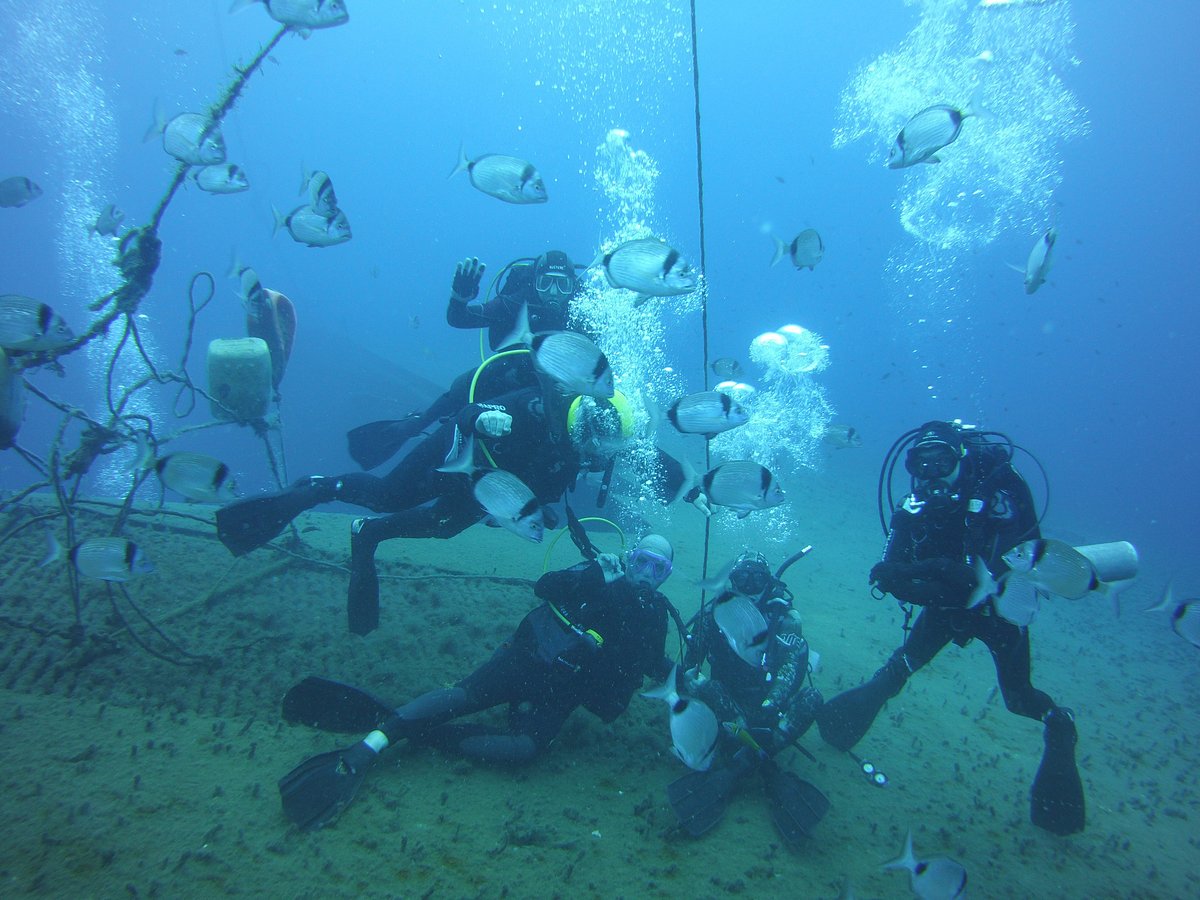 Scuba Tech Diving Centre, Cyprus: Dynamite Fishing-The Cost