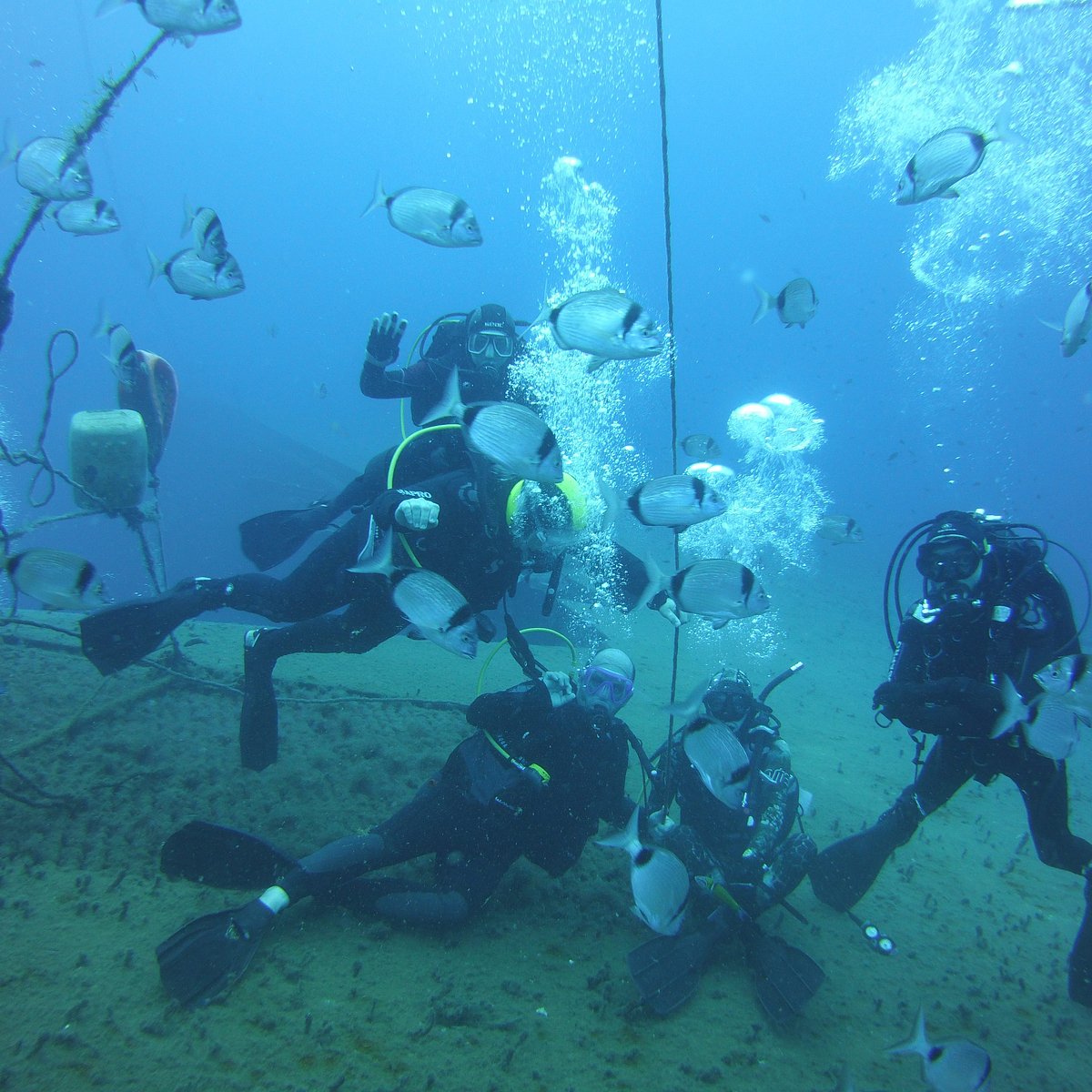 Айя Напа дайвинг центр Olympian Divers