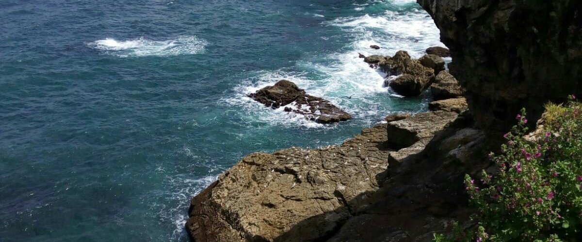 Vistas de Lekeitio