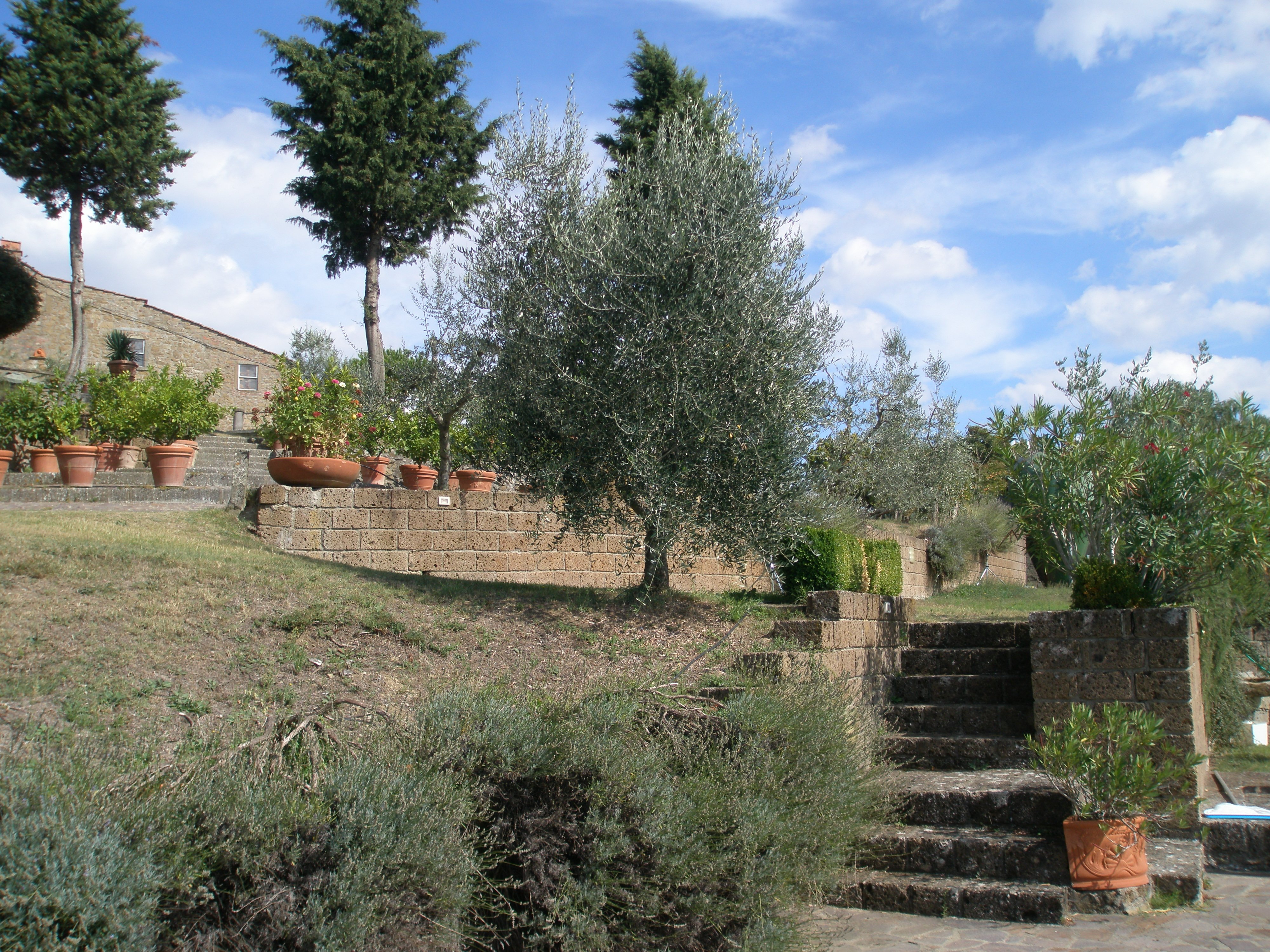 TENUTA DI CAPOCONTRO Guest house Reviews Arezzo Italy