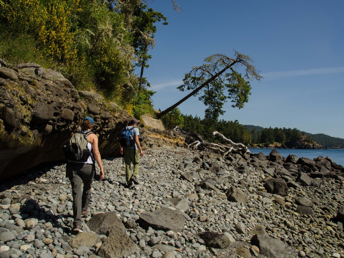 Rainforest Tours (Sooke) - All You Need to Know BEFORE You Go