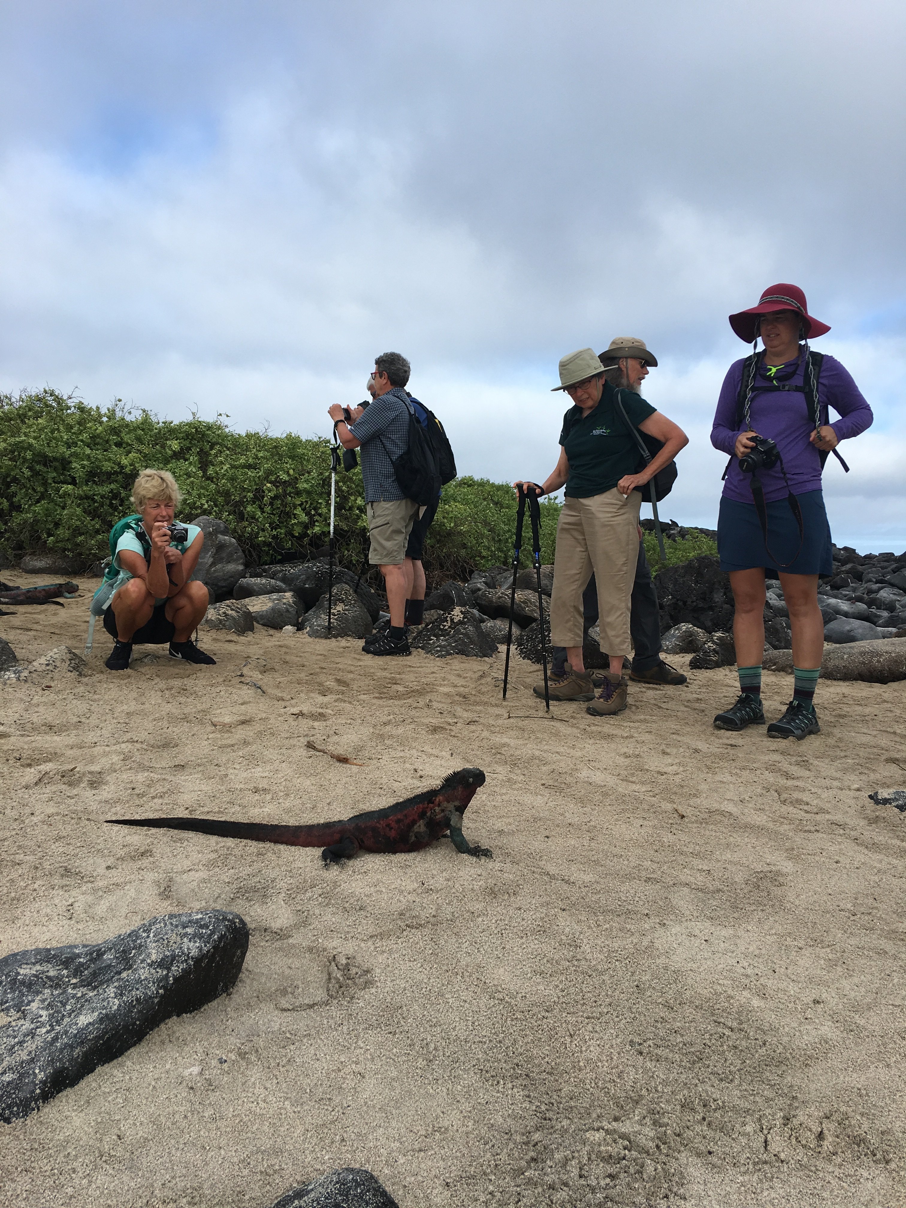 Galapagos Tours (Galapagos Islands) - All You Need To Know BEFORE You Go