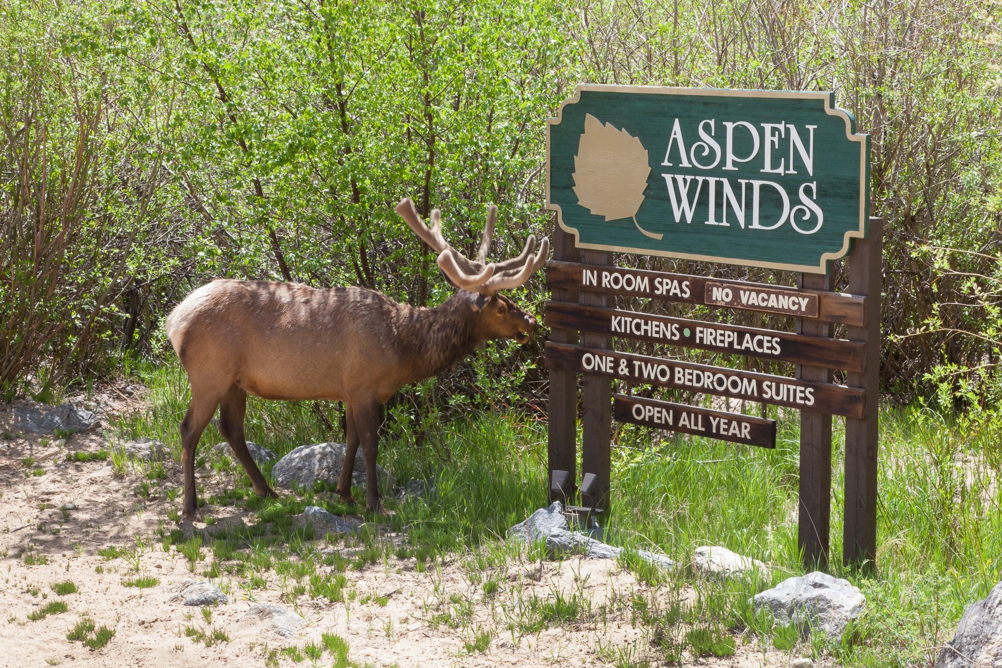 ASPEN WINDS ON FALL RIVER Bewertungen Fotos Preisvergleich Estes   Exterior Of Property 