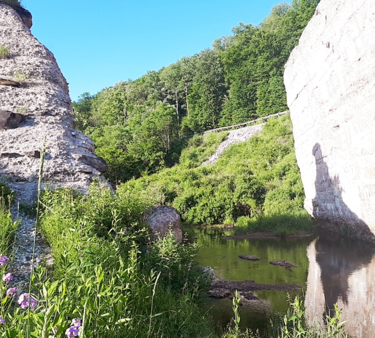 Austin dam memorial park 2021 alles wat u moet weten voordat je gaat