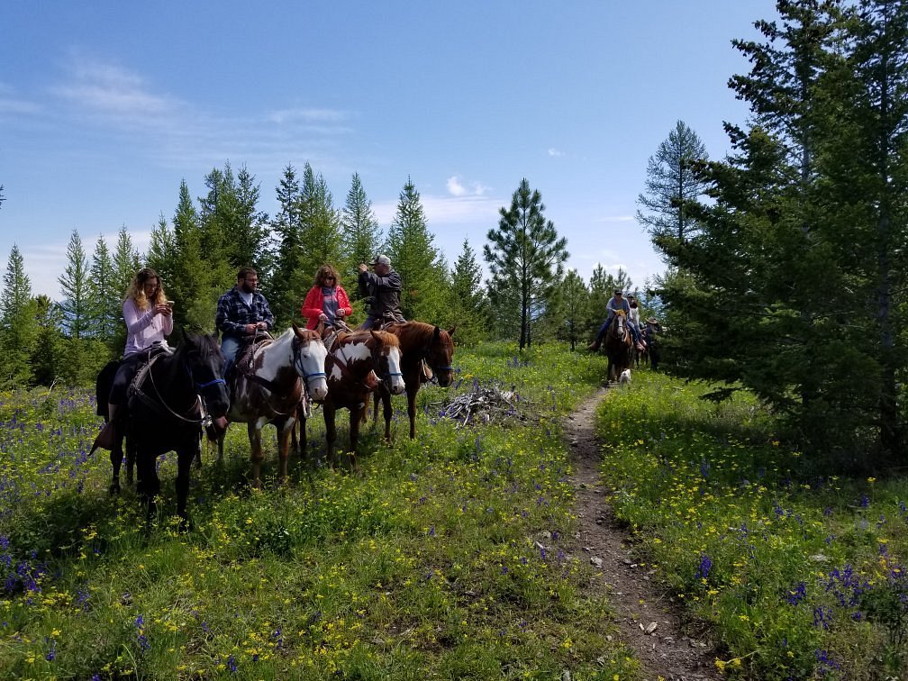 Artemis Acres Paint Horse Ranch (Kalispell) - All You Need to Know ...