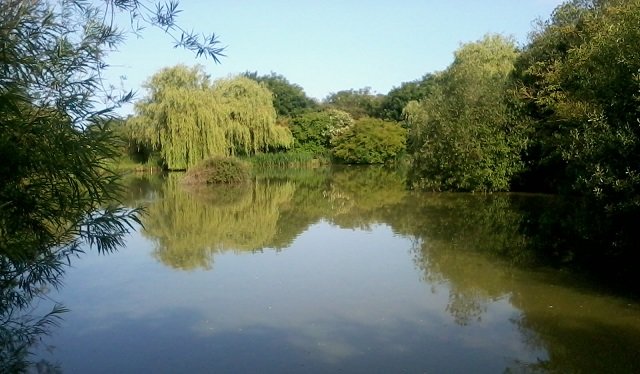 Fennes fishery store