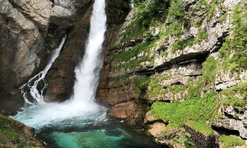 Srednja vas v Bohinju, Slovenia 2024: Best Places to Visit - Tripadvisor