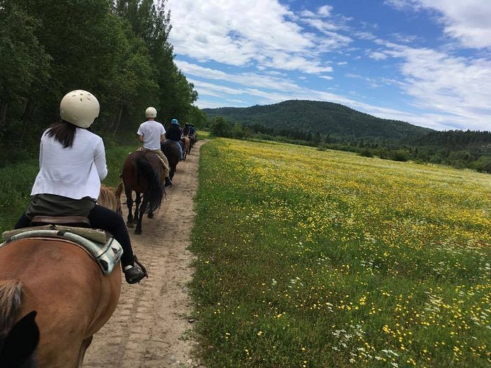 Ranch du Fjord / #CanadaDo / Best Horseback Riding Places in Quebec