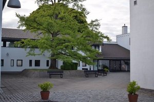 Billeder fra rejsende