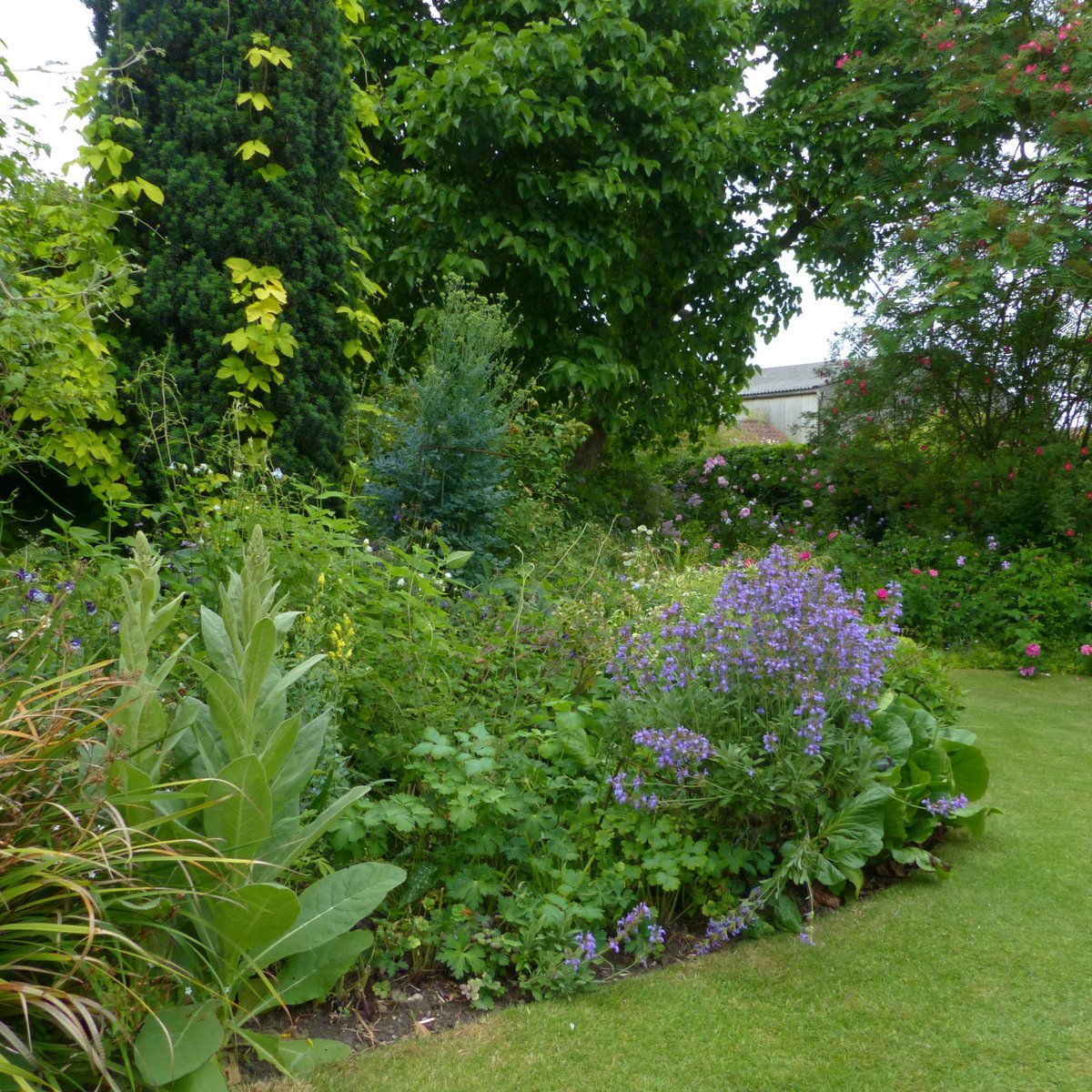 STILLINGFLEET LODGE GARDENS - All You Need to Know BEFORE You Go