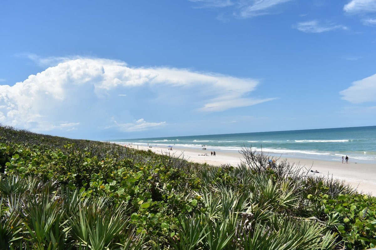 Canaveral National Seashore - All You Need to Know BEFORE You Go (2024)