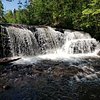 Things To Do in Ojibway Provincial Park, Restaurants in Ojibway Provincial Park