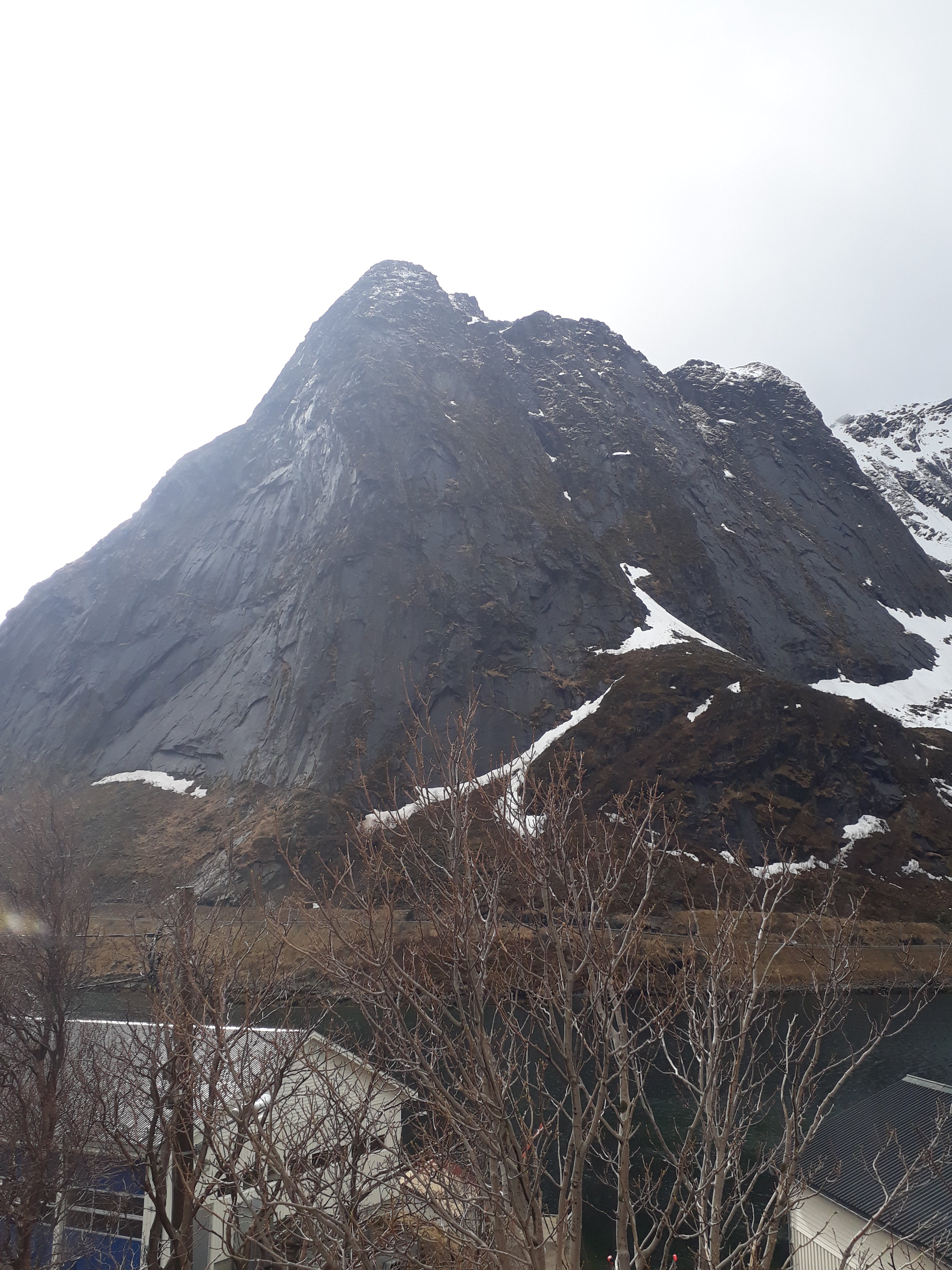 LOFOTEN BED & BREAKFAST REINE (Noruega) - Opiniones Y Comparación De ...