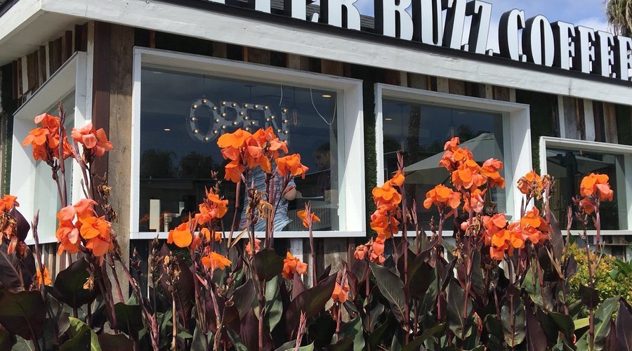 Better Buzz Coffee Point Loma, 샌디에이고 - 레스토랑 리뷰 - 트립어드바이저