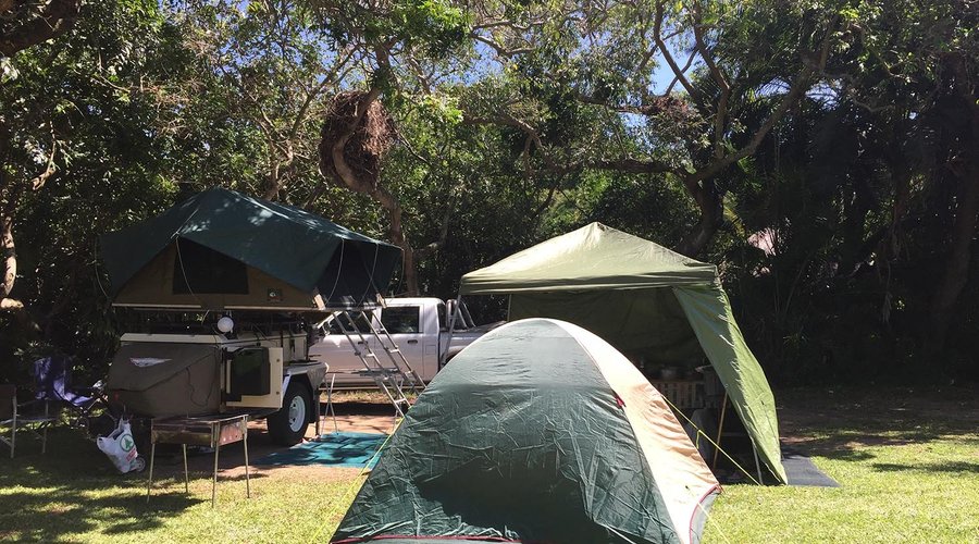 Happy Campers