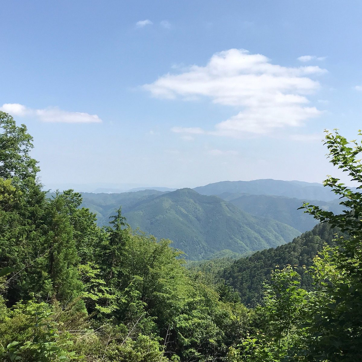 21年 愛宕山 行く前に 見どころをチェック トリップアドバイザー