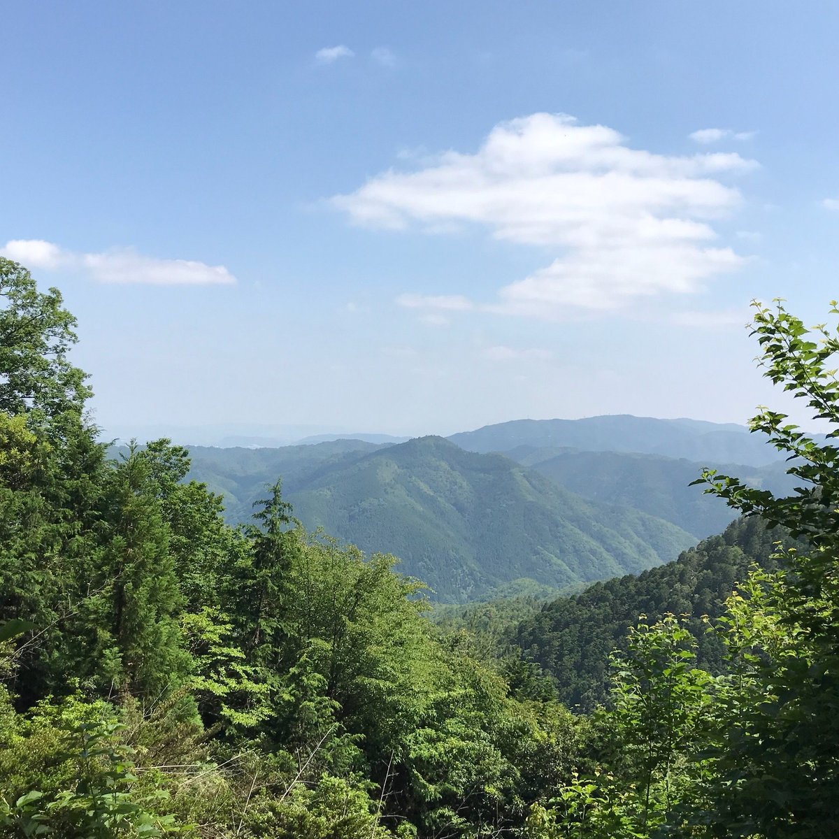 21年 愛宕山 行く前に 見どころをチェック トリップアドバイザー