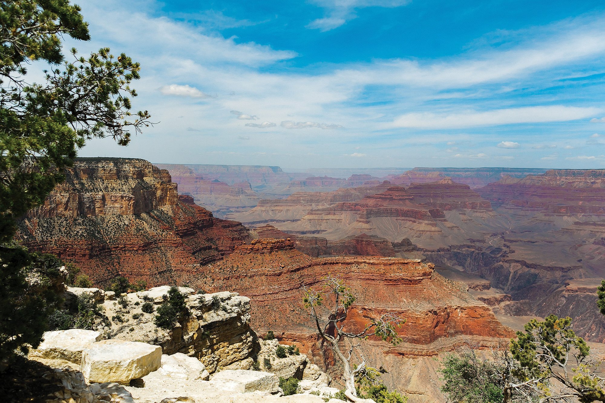 Buck Wild Grand Canyon Hummer Tours (Grand Canyon National Park) - All ...