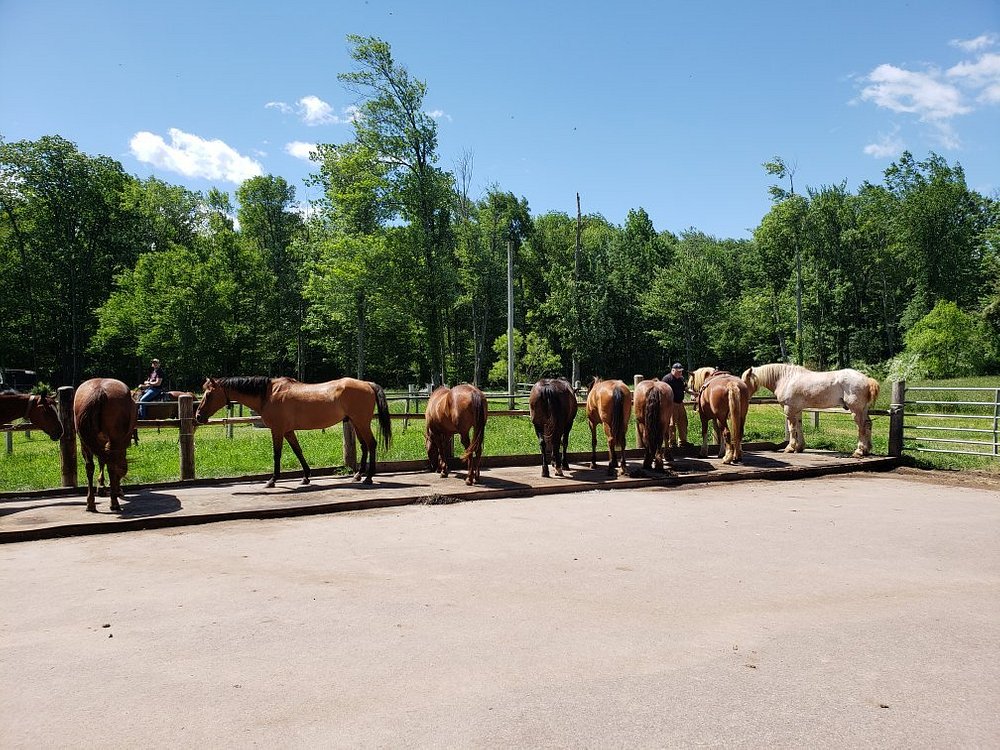 horseback riding tours pennsylvania