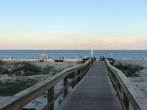 are dogs allowed on the beach at tybee island