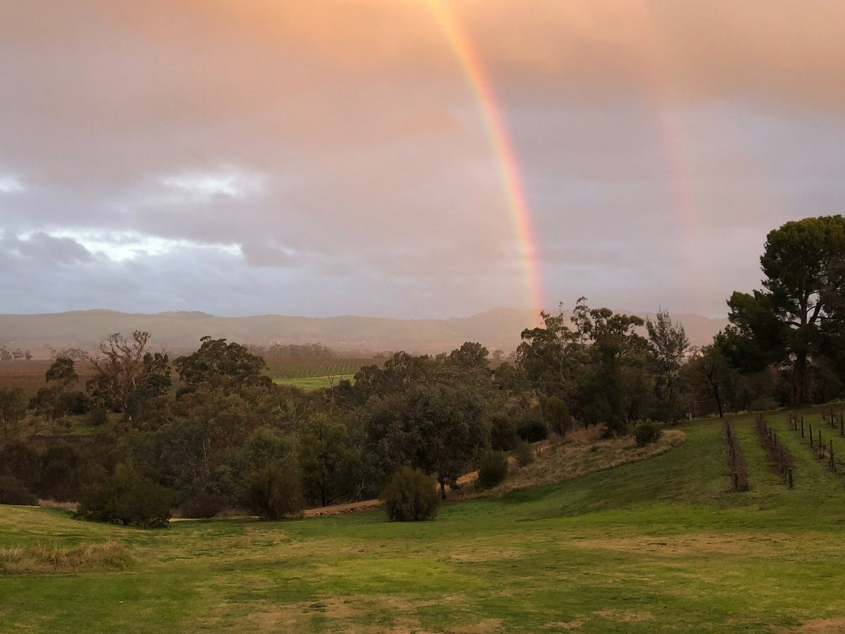 Barossa Explorer Hop on Hop off - All You Need to Know BEFORE You Go (2024)