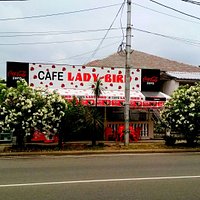 Lady Bird