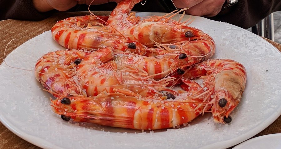 Exquisitos