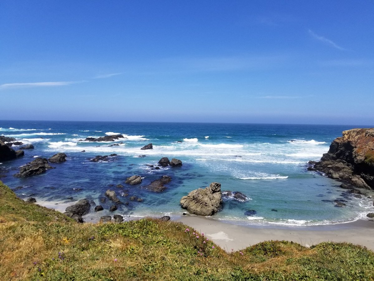 Surf Market - Visit Mendocino County