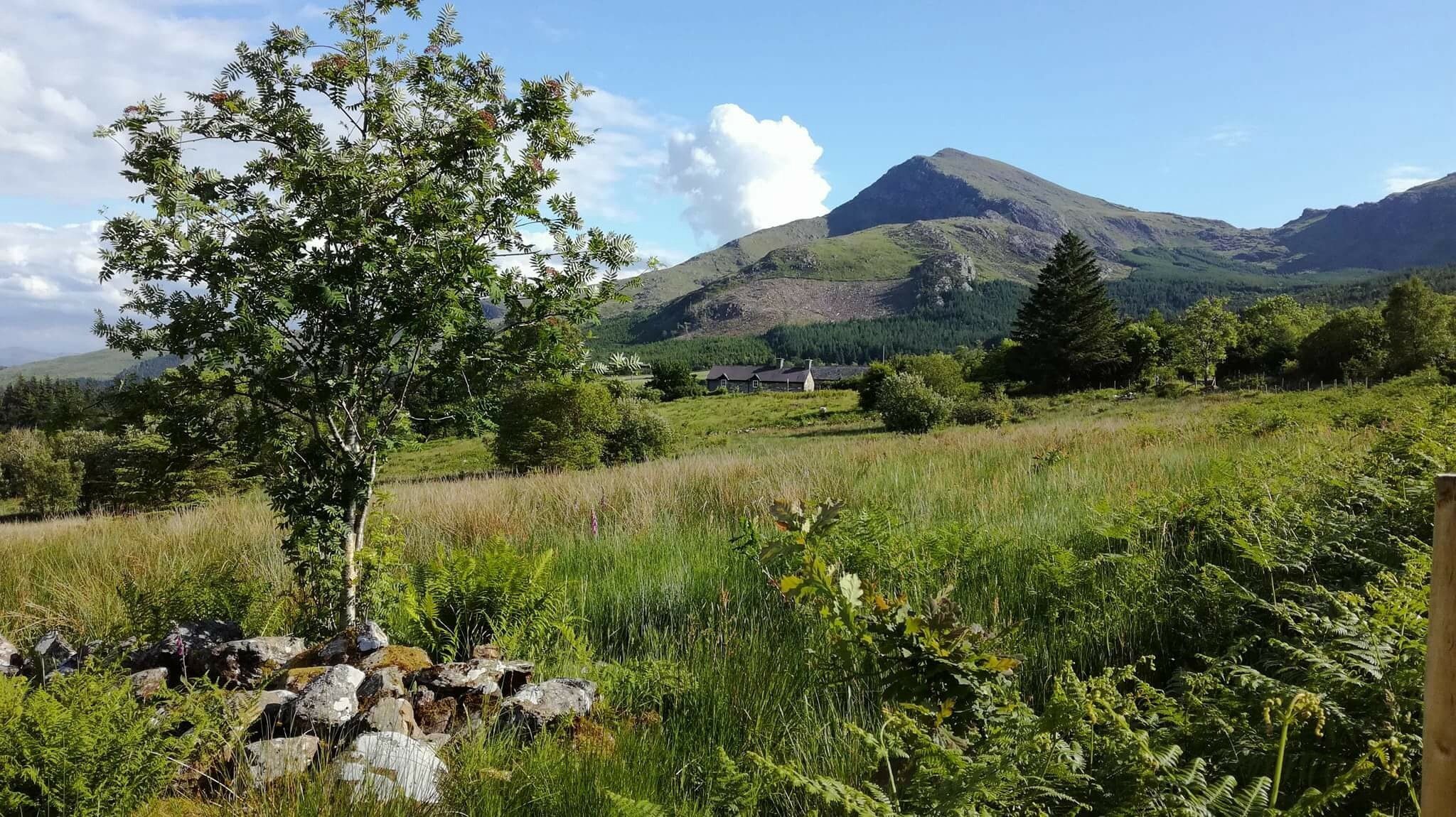 TY MAWR B&B AND TEA ROOM - Reviews (Rhyd Ddu, Snowdonia National Park ...