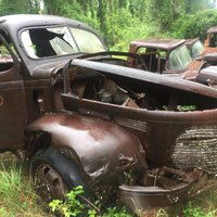 Roadside Rusted Ford Trucks (Crawfordville) - All You Need to Know ...