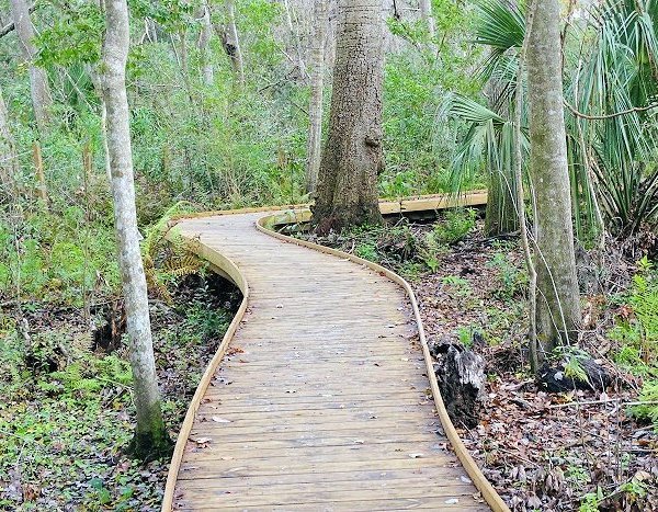 Tillie K Fowler Regional Park Jacksonville All You Need To Know