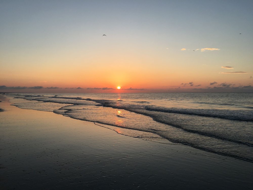 THE 5 BEST Hilton Head Beaches (Updated 2024) - Tripadvisor