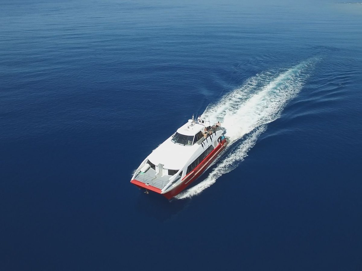 Island Diver (Cairns) - All You Need to Know BEFORE You Go