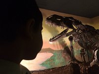 Dinossauros - Ressources pédagogiques