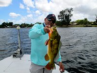 pescando pavon con rat-l-trap en miami 