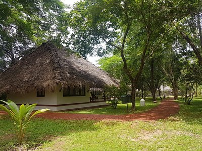 Gorgeous Jency and Chengu - Picture of Marari Dreamz, Mararikulam -  Tripadvisor