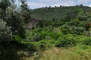 Camera e suite