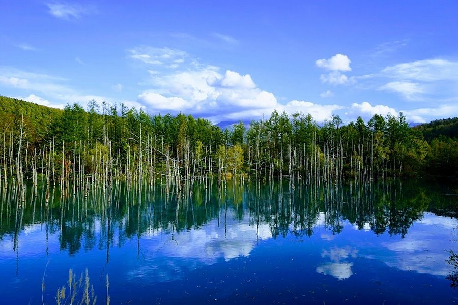Shirogane Blue Pond image