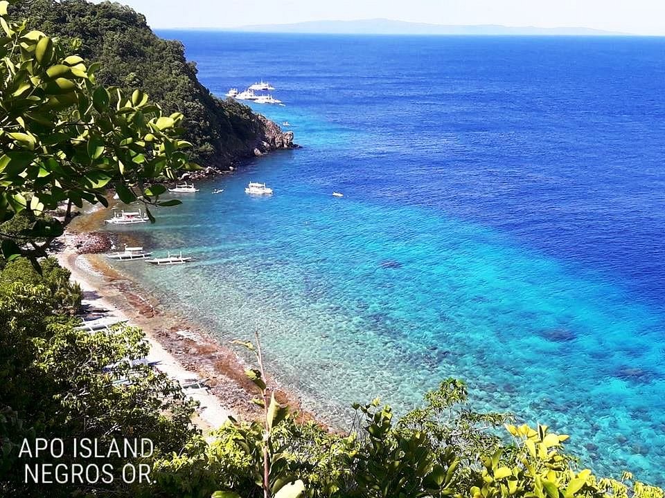 Apo Island Marine Reserve, Остров Апо: лучшие советы перед посещением -  Tripadvisor