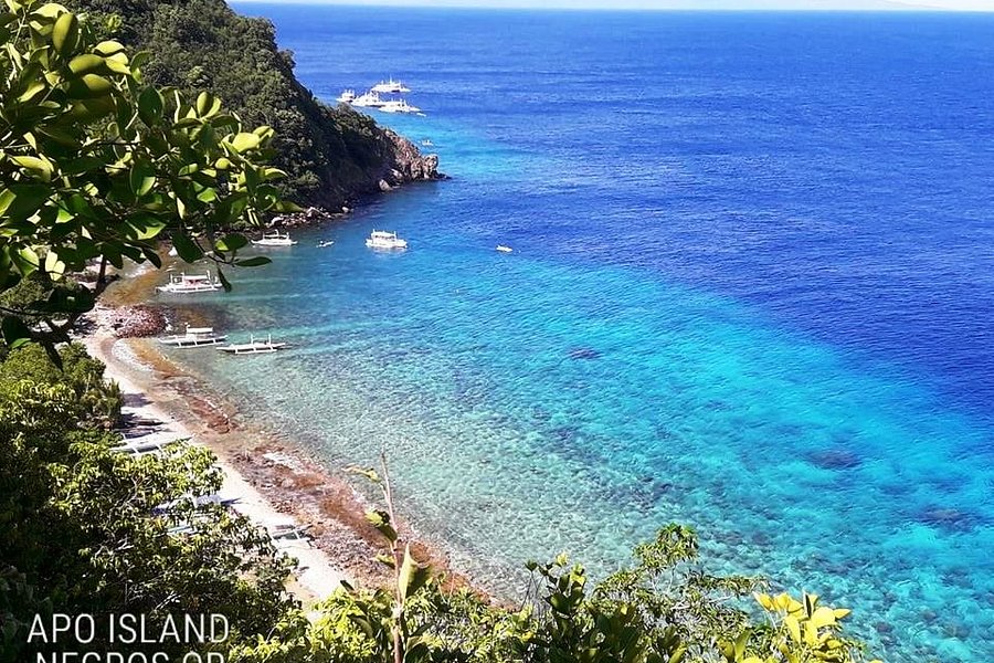 Apo Island Marine Reserve image